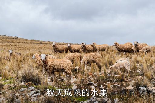 大班科学秋天的水果教案，秋天成熟的水果