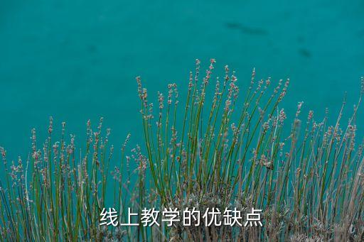 线上教学的优缺点