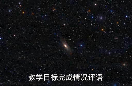 教学目标完成情况评语