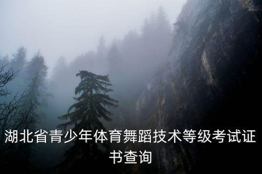 湖北省青少年体育舞蹈技术等级考试证书查询