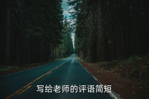 写给老师的评语简短