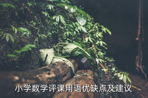 一年级数学评课用语优缺点及建议，小学数学评课用语优缺点及建议