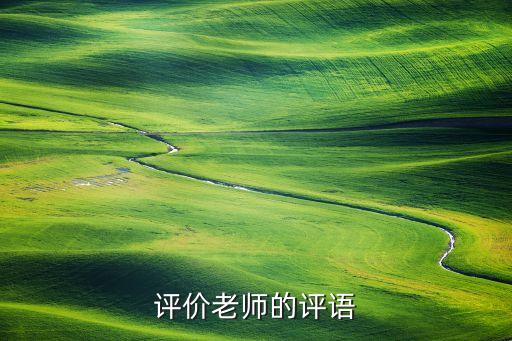 评价老师的教学评语简短，写给老师的评语简短