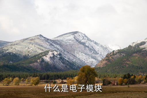 什么是电子模块