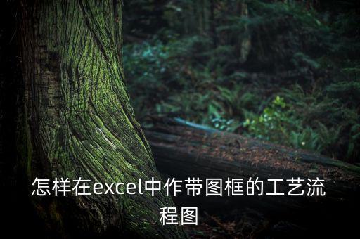 怎样在excel中作带图框的工艺流程图
