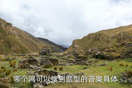 哪个网可以搜到题型的答案具体