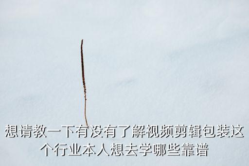 想请教一下有没有了解视频剪辑包装这个行业本人想去学哪些靠谱