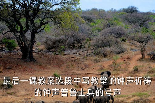 最后一课教学设计，初一语文下最后一课