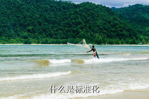 什么是标准化