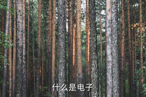 什么是电子