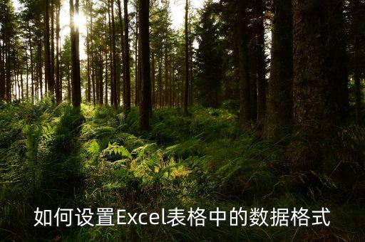 电子表格格式怎么设置，Excel表格样式怎么设置