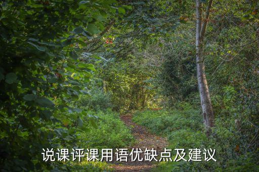 说课评课用语优缺点及建议