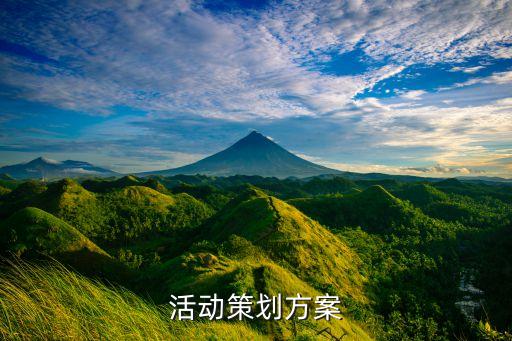 活动策划模板，活动策划书 模板
