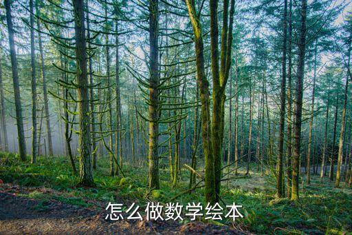 怎么做数学绘本