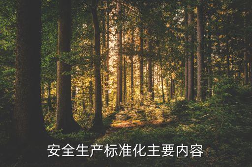 安全生产标准化主要内容