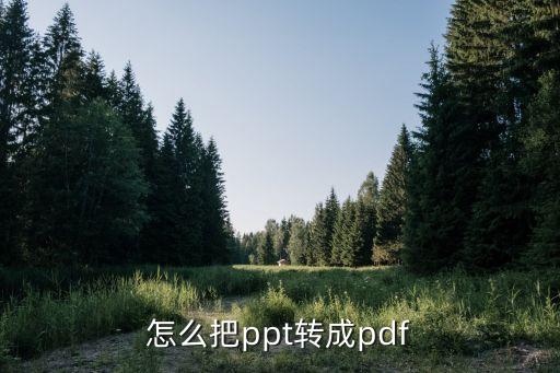 课件怎么转换成pdf格式，怎么把ppt转成pdf