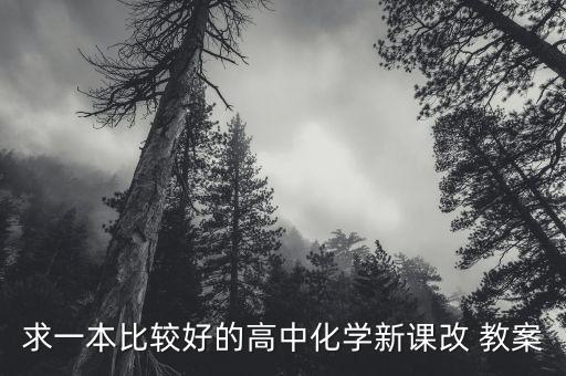 求一本比较好的高中化学新课改 教案
