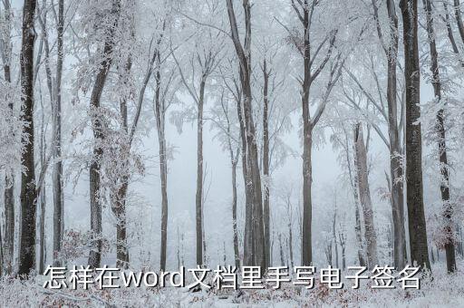 怎样在word文档里手写电子签名