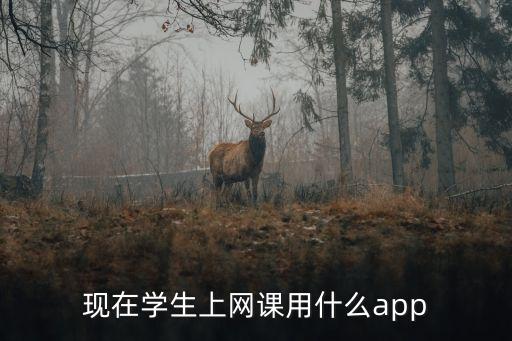 现在学生上网课用什么app