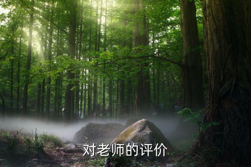 对老师的评价