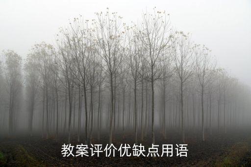 教案评价优缺点用语