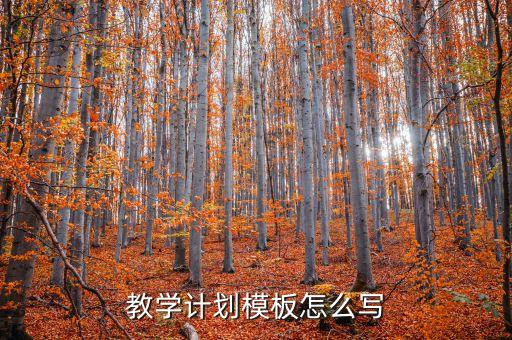 教学计划模板怎么写