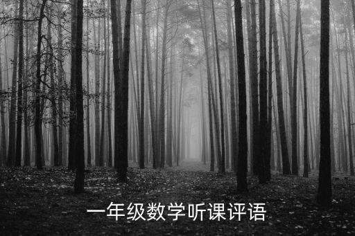 一年级数学听课评语