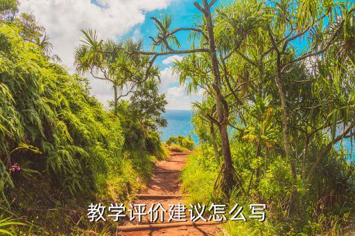 教学评价建议怎么写