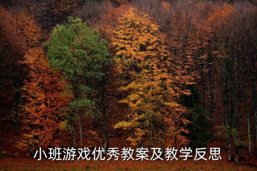 小班教案活动反思，幼儿园小班教学活动反思