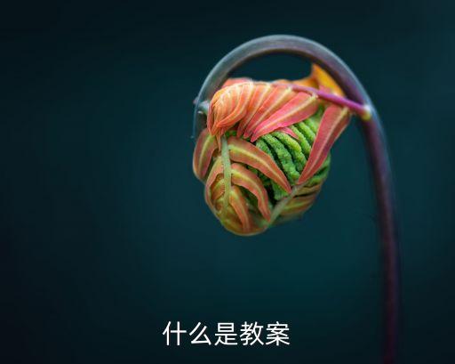 什么是教案