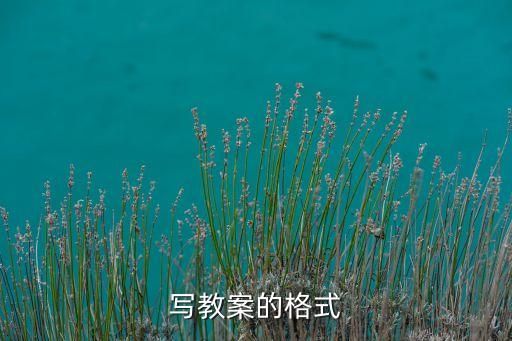 写教案的格式