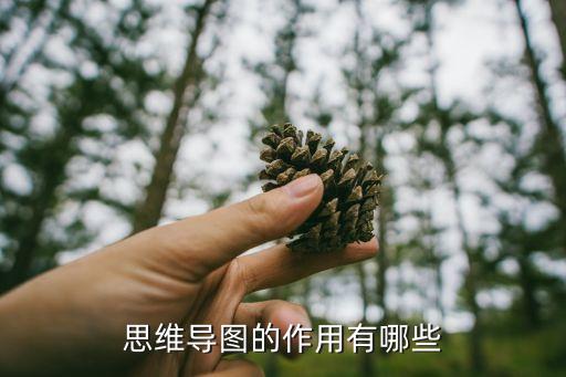 思维导图的作用和意义，思维导图的作用是什么呢