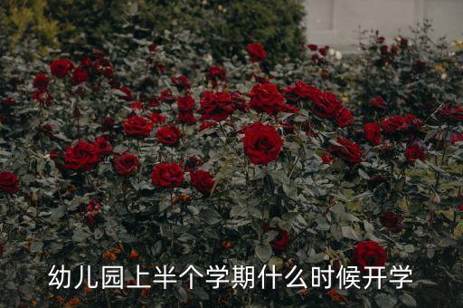 什么时候开学幼儿园最新消息，今年过年过好幼儿园大概几号开学