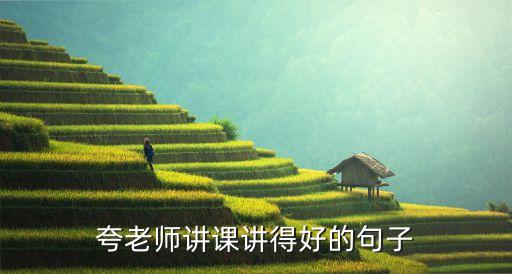 夸老师讲课讲得好的句子