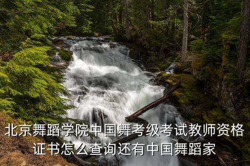 中国舞考级证书查询网，考级证在网上怎么查啊