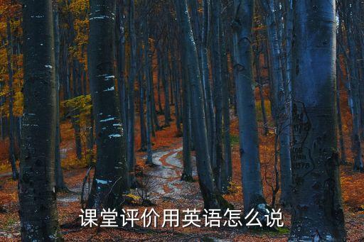 课堂评价用英语怎么说