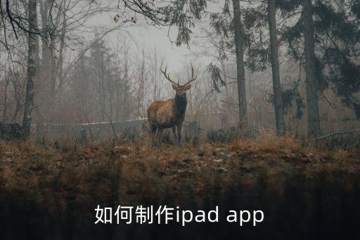 如何制作ipad app