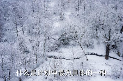 什么是计划中最为具体的一种