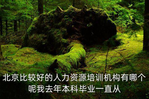 北京比较好的人力资源培训机构有哪个呢我去年本科毕业一直从