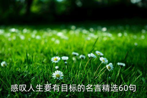 感叹人生要有目标的名言精选60句
