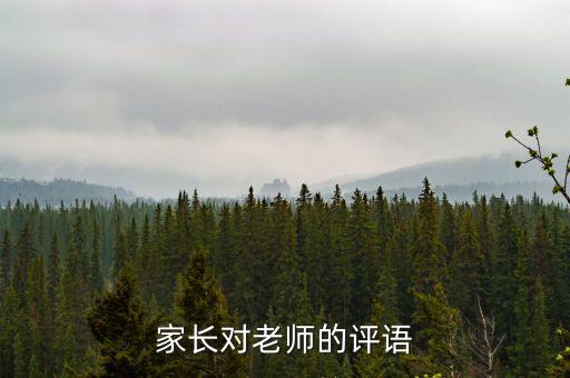 家长对老师的评语