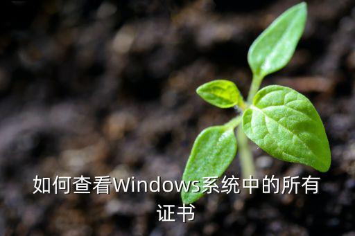证书查询系统，如何查看Windows系统中的所有证书