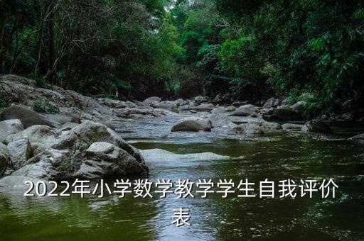 2022年小学数学教学学生自我评价表