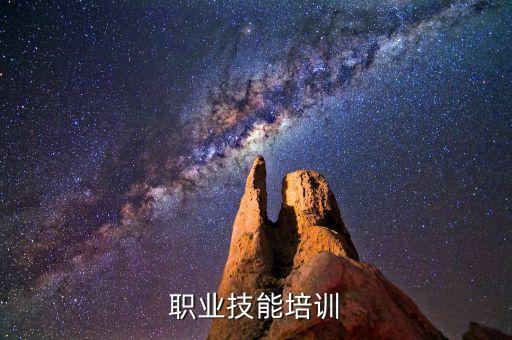 职业技能培训