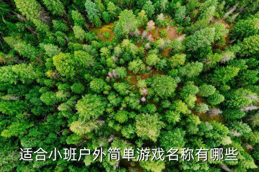 适合小班户外简单游戏名称有哪些