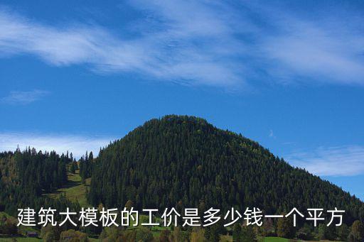 建筑模板价格，建筑大模板的工价是多少钱一个平方