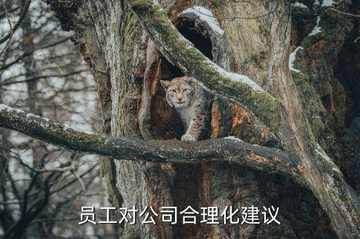 员工意见建议，员工对公司合理化建议