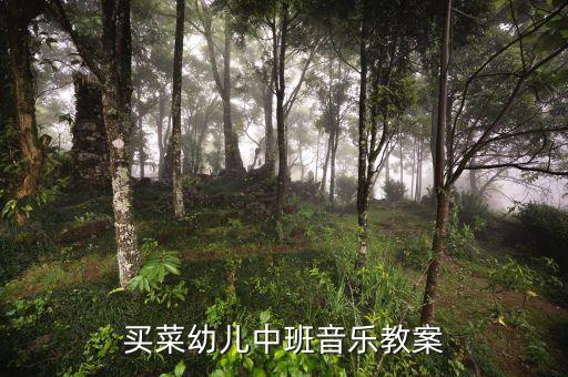 买菜幼儿中班音乐教案
