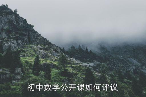 初中数学老师评课常用评语，初中数学公开课如何评议