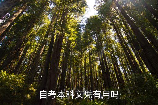 自考本科文凭有用吗，自考本科文凭有用吗
